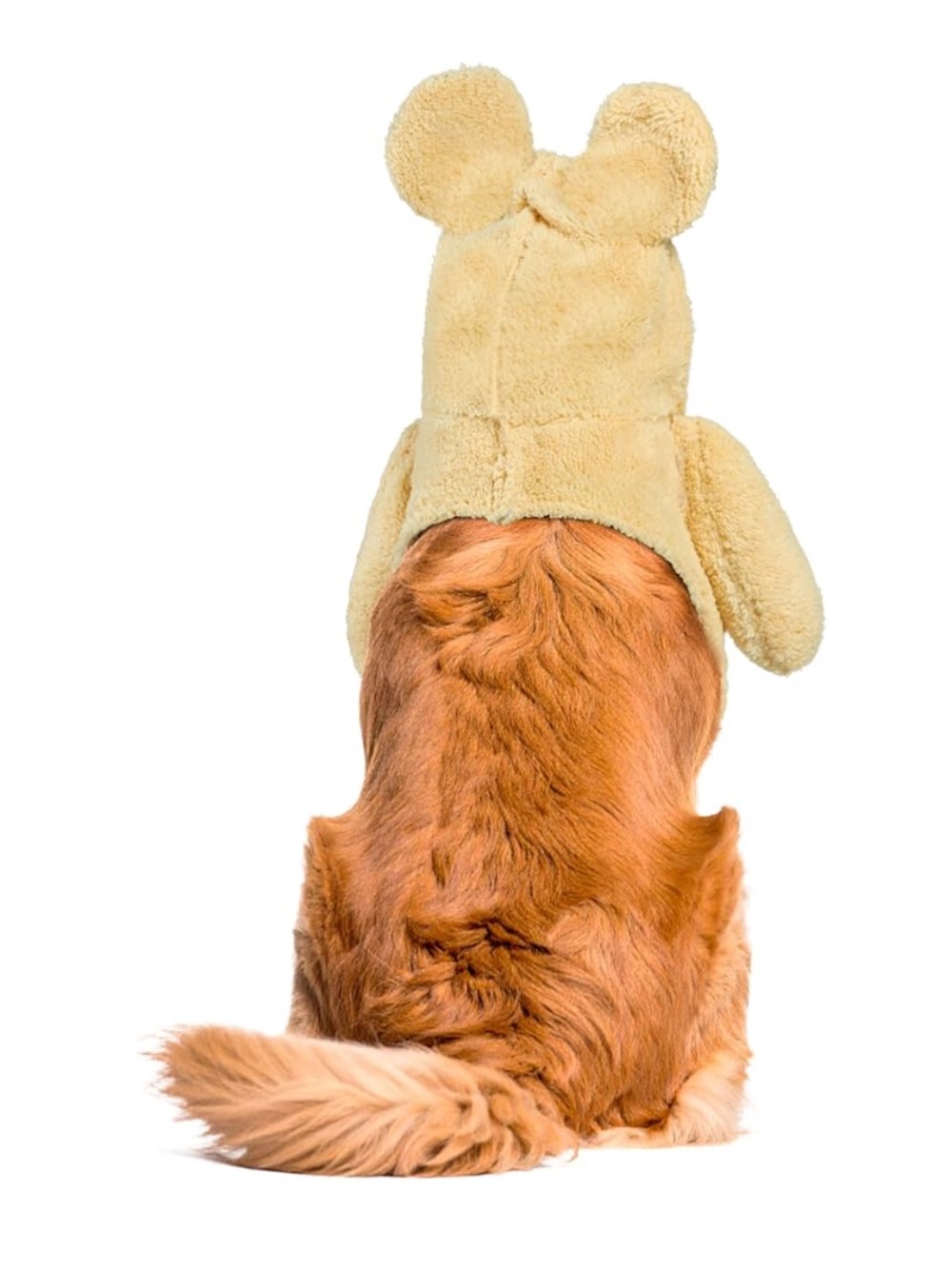 Rubie's Plush Teddy Bear Dog Costume in Tan with Red Gingham Bow - Picture 5 of 6